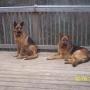 Melinda Thomason Photo 14