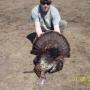 Allen Roth Photo 28