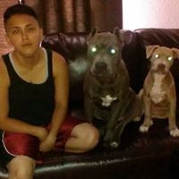 Kristi Cortez Photo 3