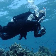 Joshua Stark Photo 14