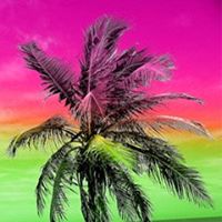 Ali Ahmed Photo 41 Ali Ahmed Photo 41