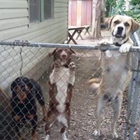 Laura Shultz Photo 18