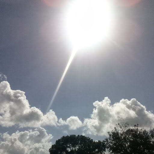 Nicholas Kramer Photo 28