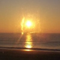 Patricia Holland Photo 21