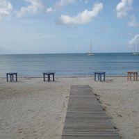 Laurie Cummings Photo 31