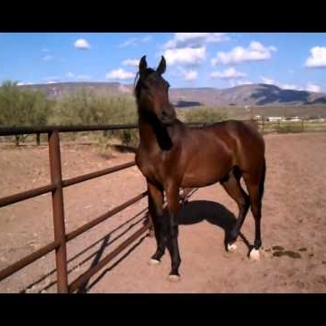 Crystal March Photo 4