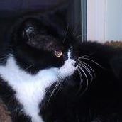 Janice Kimball Photo 13