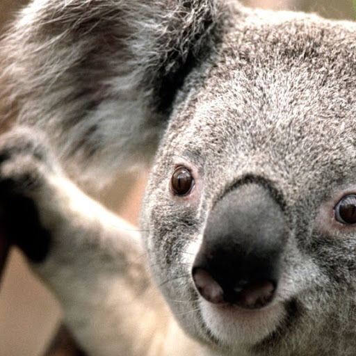 Margarita Torres Photo 20