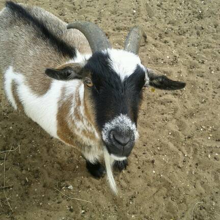 Richard Waller Photo 16