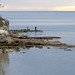 Dawn Scott Photo 37