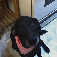 William Cline Photo 10