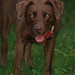 Molly Gee Photo 9