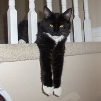 Paula Middleton Photo 6