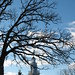 Cynthia Brockway Photo 11