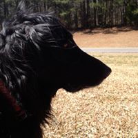 Matthew Dewitt Photo 24