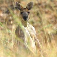 Jenny Guthrie Photo 8