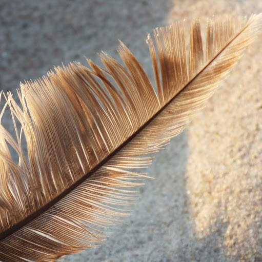 Sandra Winter Photo 18