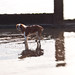 Sandy Kent Photo 15