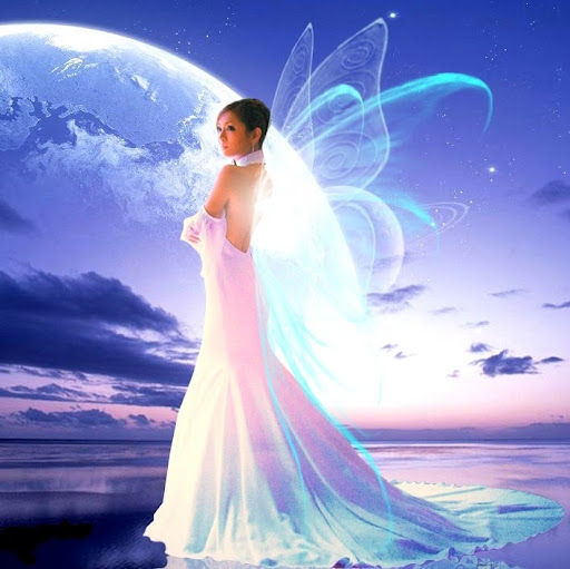 Tracie Cross Photo 10