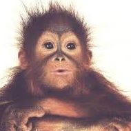 Allan Summers Photo 7