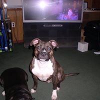 Robert Tasker Photo 7