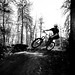 Steven Leslie Photo 25