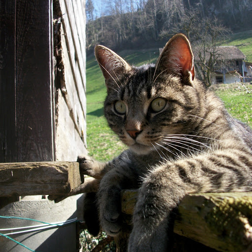 Michelle Herzog Photo 5