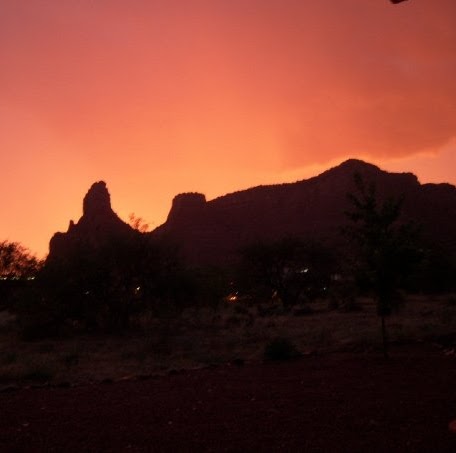 Daryl Carter Photo 24