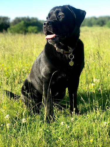 Douglas Owen Photo 25