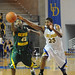George Hakim Photo 8