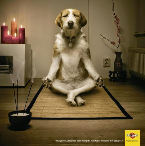 Constance Mann Photo 1