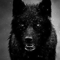 Xavier Torres Photo 14