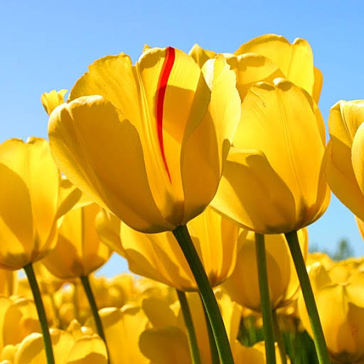 Linda Colbert Photo 24