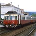 Allan Branch Photo 10