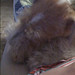 Rita Fox Photo 23