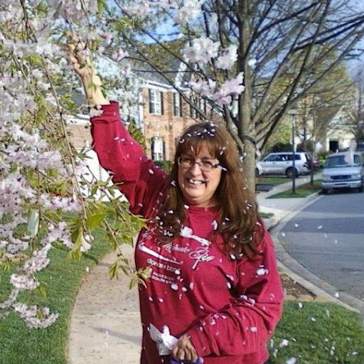 Cindy Horner Photo 7
