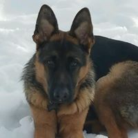 Tracy Hayden Photo 41