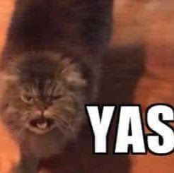 Emily Wolff Photo 19