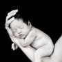 Crystal Pate Photo 9