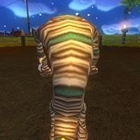 Zachary Sheffield Photo 5