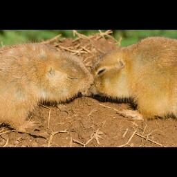 Lorraine Weir Photo 2