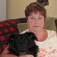 Craig Mcclure Photo 21