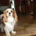 Sue Kirby Photo 34