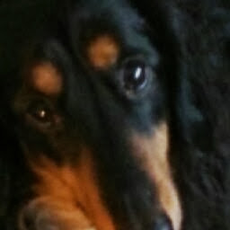 Elizabeth Horsley Photo 13