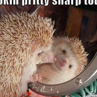 Bobby Travis Photo 6