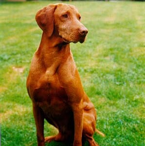 Ruth Daniels Photo 23