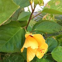 Donna Weeks Photo 27
