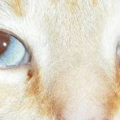 Lillian Watson Photo 19 Lillian Watson Photo 19