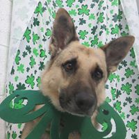 Tina Richter Photo 20