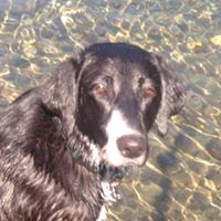 Leah Robbins Photo 23